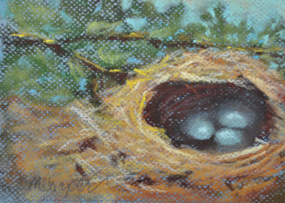 Nest I