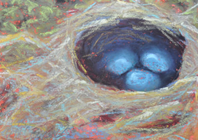 Nest II