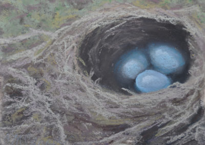 Nest III