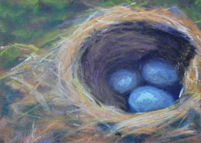 Nest IV